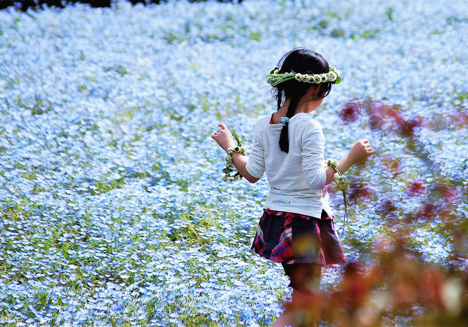 お花を楽しむ