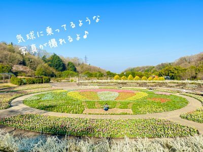 北の大花壇 | 全体MAP