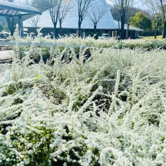 公式】ぎふワールド・ローズガーデン｜可児市・バラと花々の大庭園