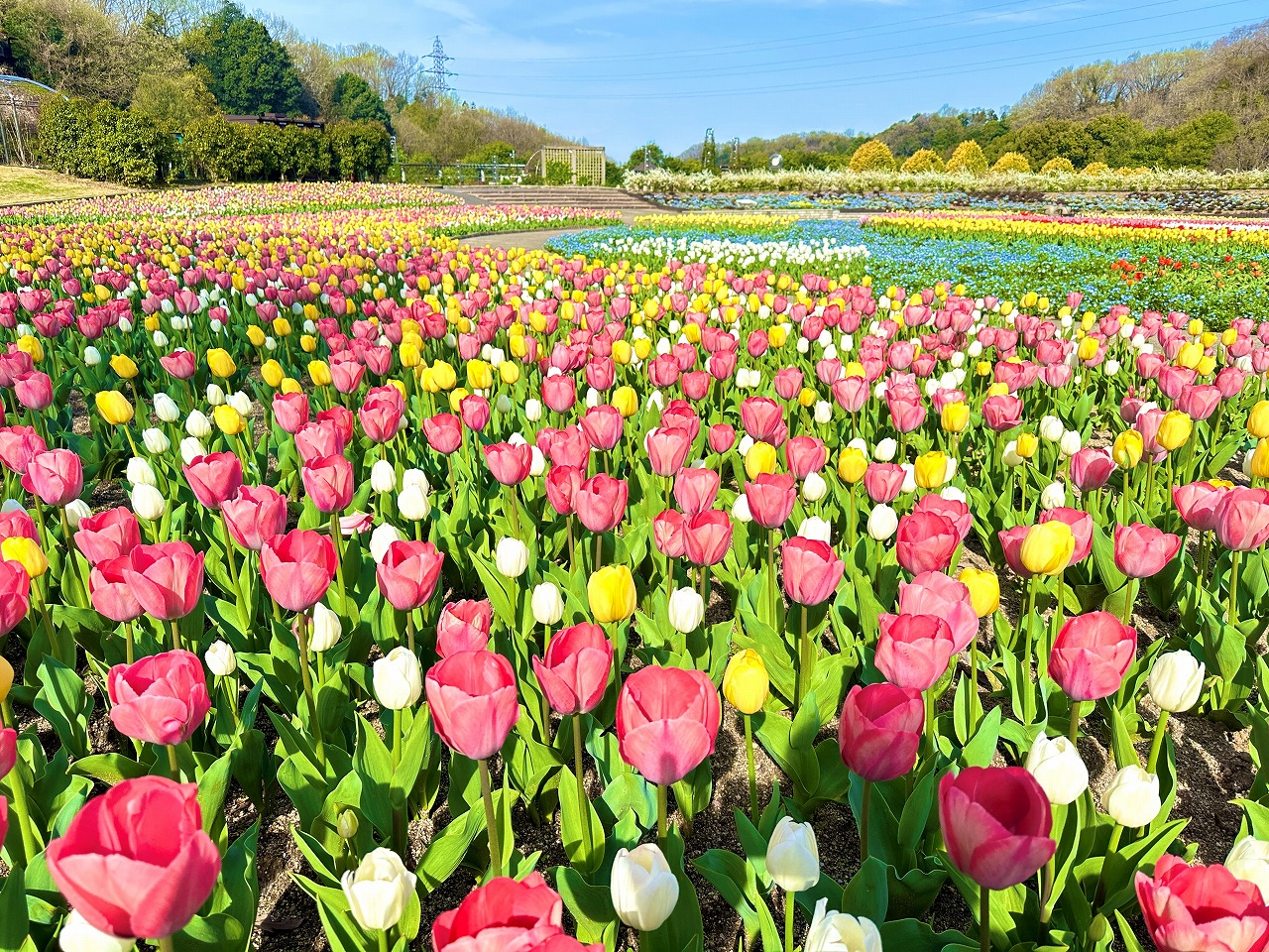 公式】ぎふワールド・ローズガーデン｜可児市・バラと花々の大庭園