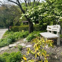 季節の宿根草・1年草など（秋） | 秋