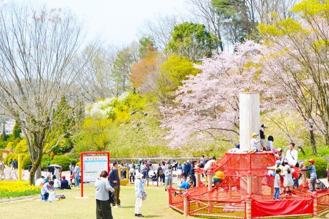 子どもと楽しむ