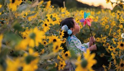 子どもと楽しむ