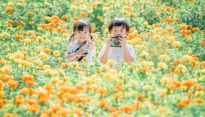 子どもと楽しむ