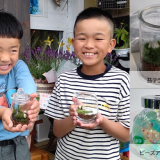 苔テラリウム～瓶の中の小さなお庭～ | イベント