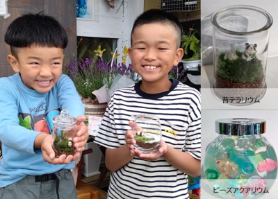 苔テラリウム～瓶の中の小さなお庭～ | イベント