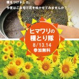 【参加無料】ヒマワリの種とり隊 | 体験・教室
