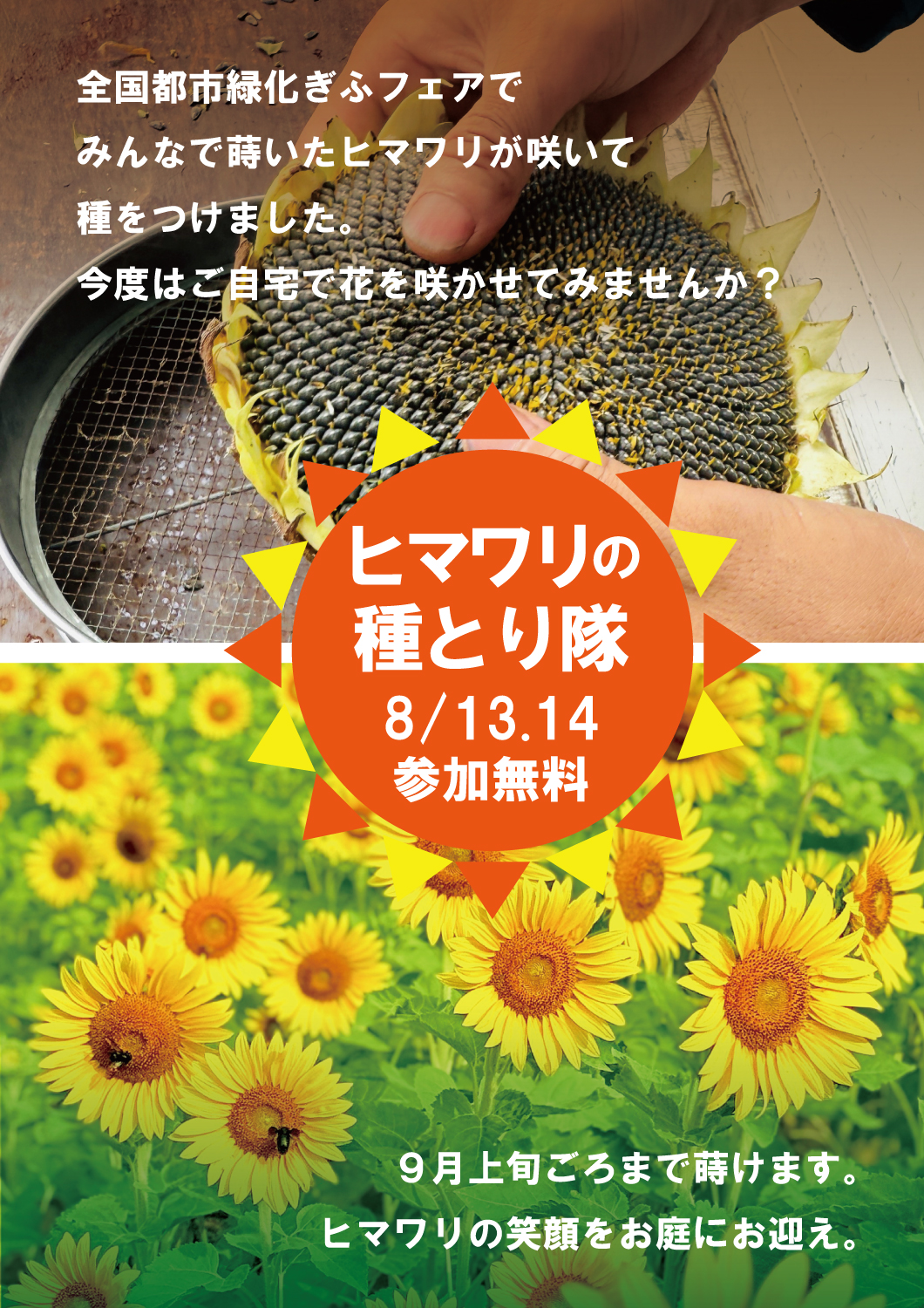 【参加無料】ヒマワリの種とり隊 | 体験・教室