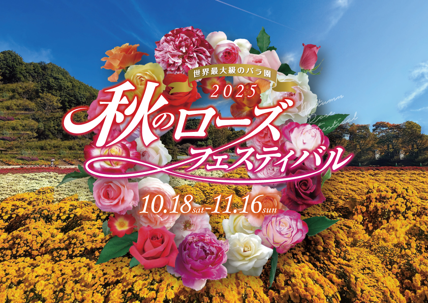 秋のローズフェスティバル~秋薔薇&マム~