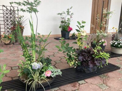 令和7年度寄せ植え華道協会地区作品展及び検定作品展 | イベント