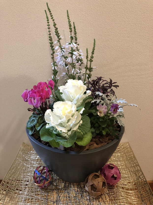 【予約制】寄せ植え体験教室 | 予約制