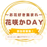 【予約完売しました】～お花好き集まれ～花咲かDAY | イベント