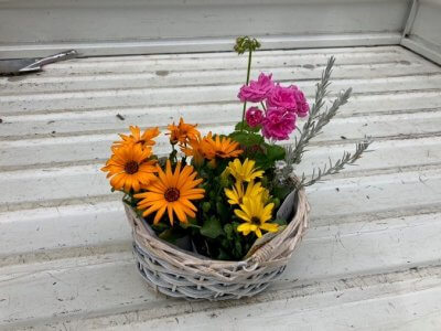 【予約完売しました】花とみどりのワークショップ　寄せ植えづくり | イベント