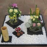 お花で迎えるクリスマス | イベント