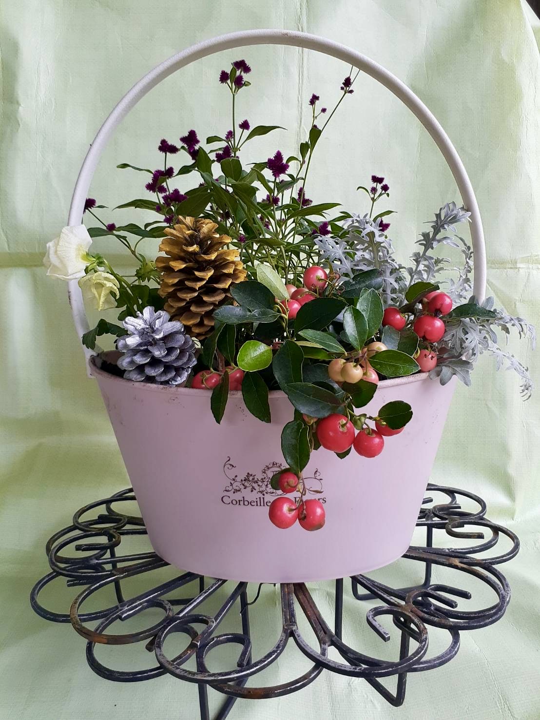【予約制】クリスマスの寄せ植え体験教室 | イベント