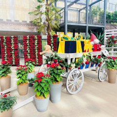 花の地球館【クリスマスガーデン】 | 冬