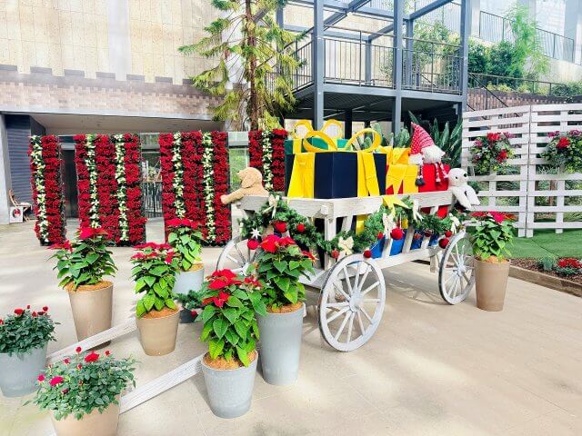 花の地球館【クリスマスガーデン】 | 冬