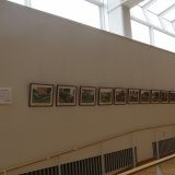 フラワーブラボーコンクール入賞校パネル写真展示 | その他