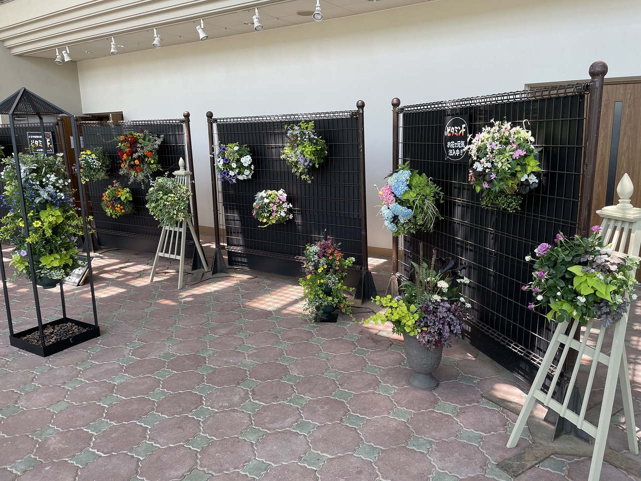 春のハンギングバスケット展