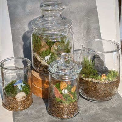 苔テラリウムを作ろう | イベント