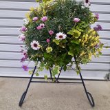 春のハンギングバスケット体験教室 | 予約制