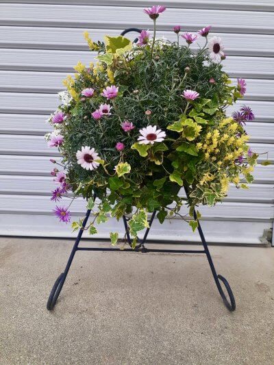 春のハンギングバスケット体験教室 | 予約制