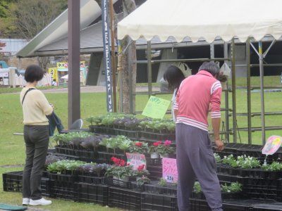 岐阜県立国際園芸アカデミー花苗販売 | イベント