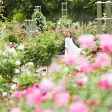 モーニングローズ・アーリーエントリー | イベント