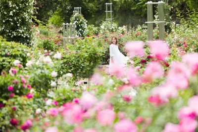 モーニングローズ・アーリーエントリー | イベント