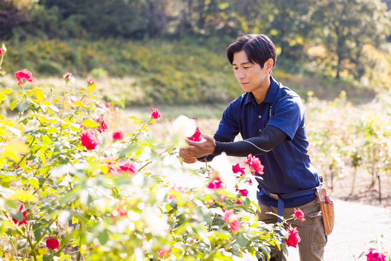 【事前予約制】1日1組限定プレミアムローズガイド | イベント