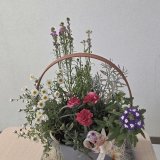 【事前予約制】母の日に贈る花束のような寄せ植え | 予約制