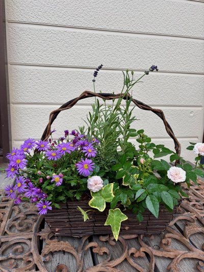 【事前予約制】寄せ植え体験教室 | 予約制