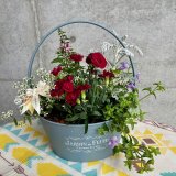 【事前予約制】母の日に贈る花束のような寄せ植え | 予約制