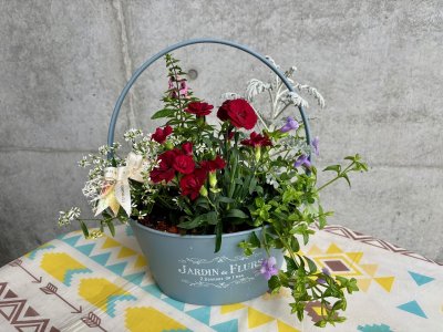 【事前予約制】母の日に贈る花束のような寄せ植え | 予約制