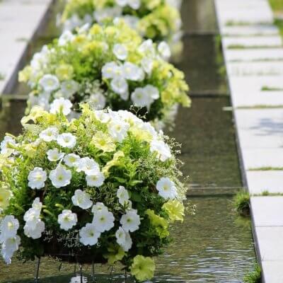 ハンギングバスケット展　作品募集 | イベント