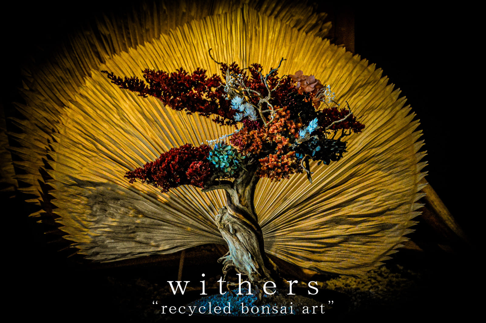 再生盆栽アート『WITHERS』　展示会＆ワークショップ
