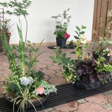 寄せ植え華道中濃地区作品展 | イベント