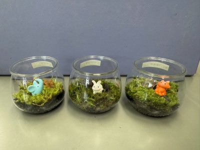 手のひらサイズの苔テラリウム体験 | イベント