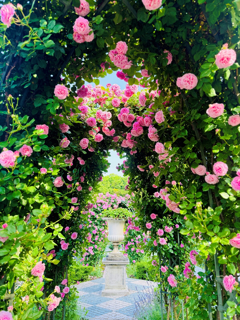 薔薇のカッティング&ステンシル　ピンクの木製2段ラック 薔薇のカッティング&ステンシル ピンクの木製2段ラック - メルカリ