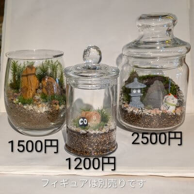 苔テラリウムの販売とワークショップ | イベント