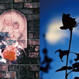 写真でめぐる花と景色　ー写真家たちが切り取る、それぞれの世界ー | イベント