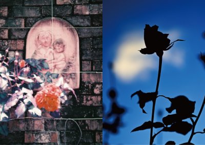 写真でめぐる花と景色　ー写真家たちが切り取る、それぞれの世界ー | イベント