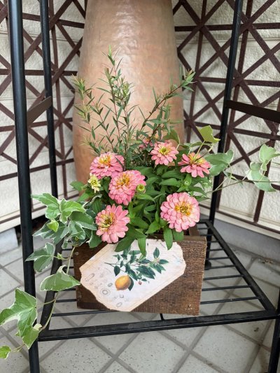【予約制】秋の寄せ植え体験教室 | イベント