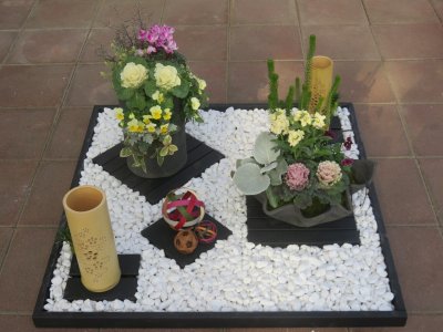 お正月の寄せ植え作品と体験教室 | イベント