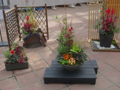 寄せ植え華道協会　地区作品展示 | イベント